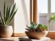 Home refreshing with spring cleaning tips.